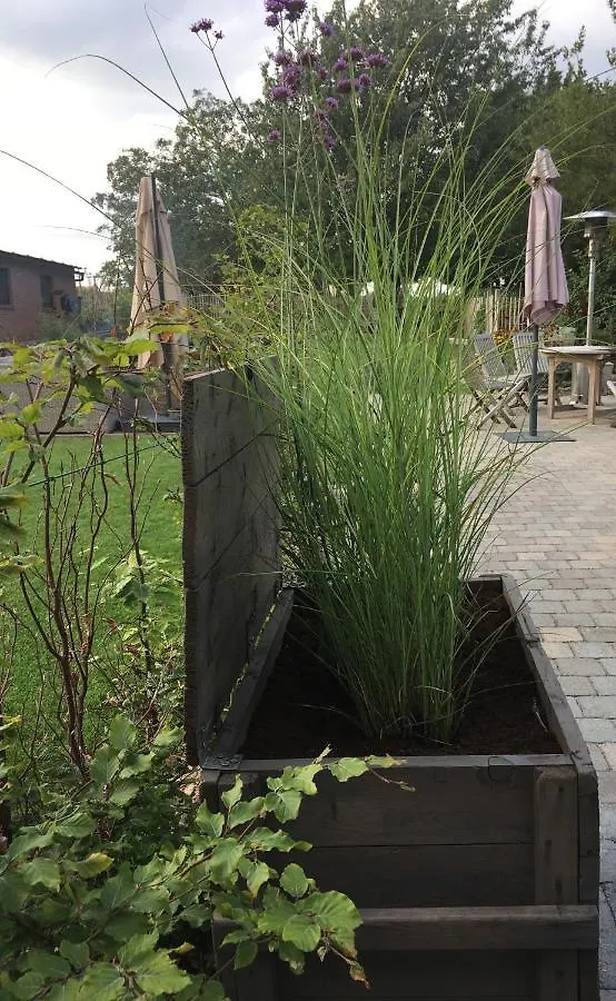 Guest house B&B Den Biesthoek Grimbergen
