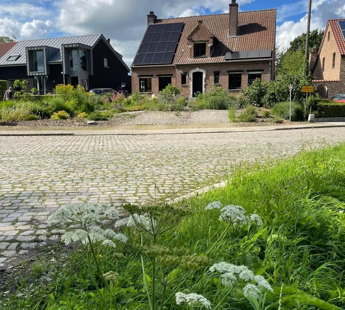 B&B Den Biesthoek Grimbergen Guest house